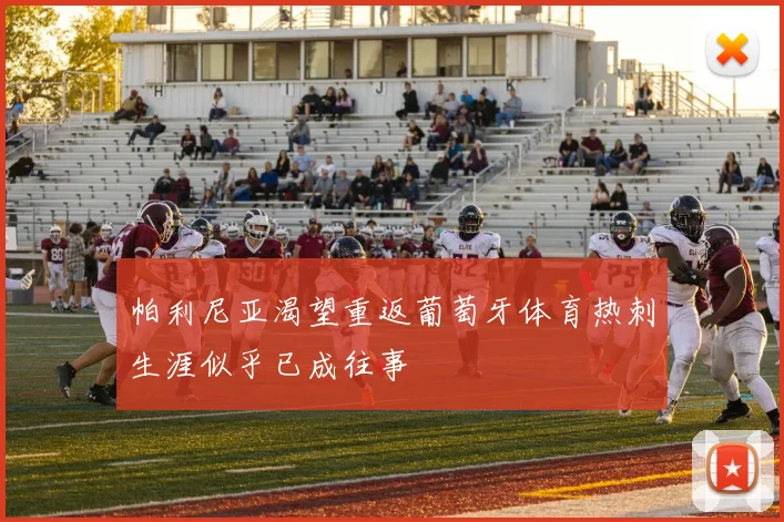 帕利尼亚渴望重返葡萄牙体育热刺生涯似乎已成往事